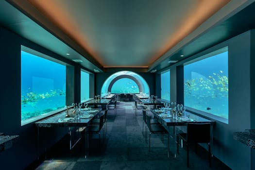 Luxury Villas in the Maldives with Underwater Bedrooms