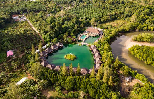 Private Villas in Bali with Jungle Views