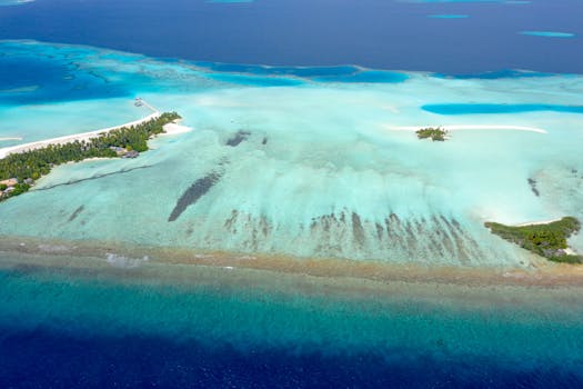 Best Resorts in Mauritius for Diving and Snorkeling