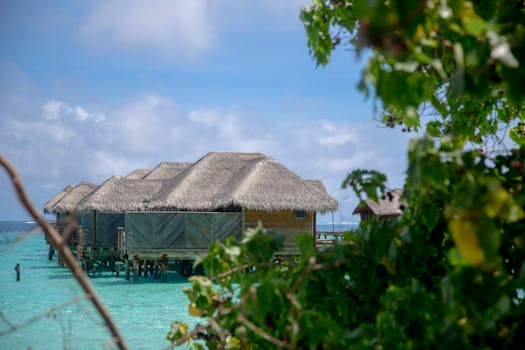 Resorts in Bora Bora for a Luxury Overwater Experience